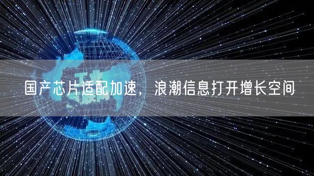 国产芯片适配加速，浪潮信息打开增长空间