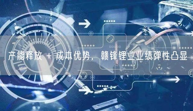 产能释放 + 成本优势，赣锋锂业业绩弹性凸显