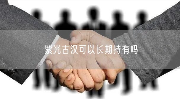 紫光古汉可以长期持有吗