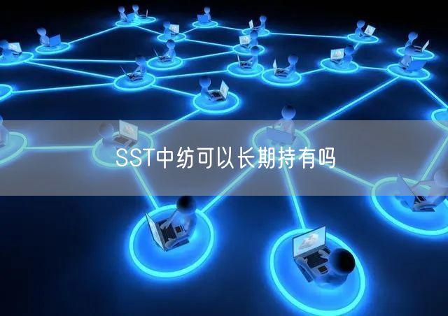 SST中纺可以长期持有吗