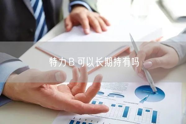 特力Ｂ可以长期持有吗