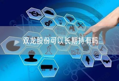 双龙股份可以长期持有吗