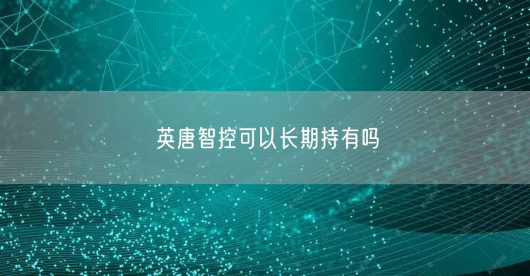 英唐智控可以长期持有吗