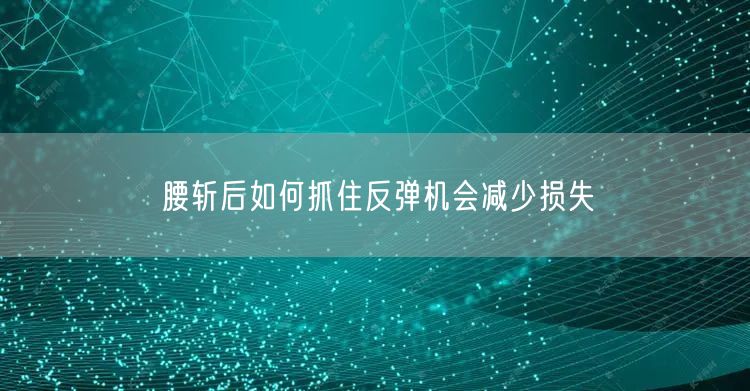 腰斩后如何抓住反弹机会减少损失